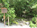 上加茂神社　　　岩上.JPG